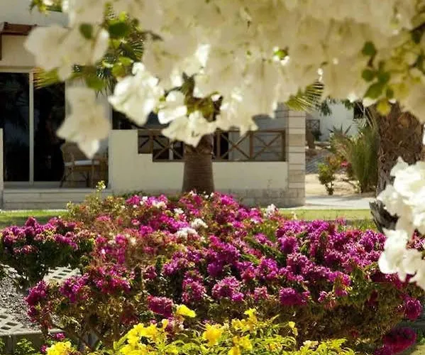 Sunrise Juman Beach Resort 4* Хургада