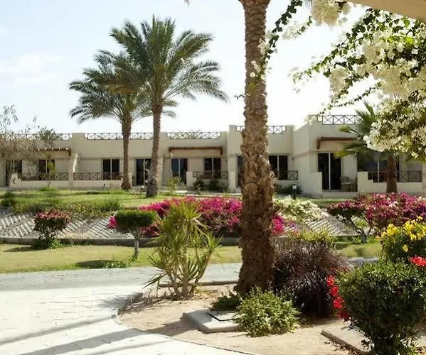 Отель Sunrise Juman Beach Resort 4*