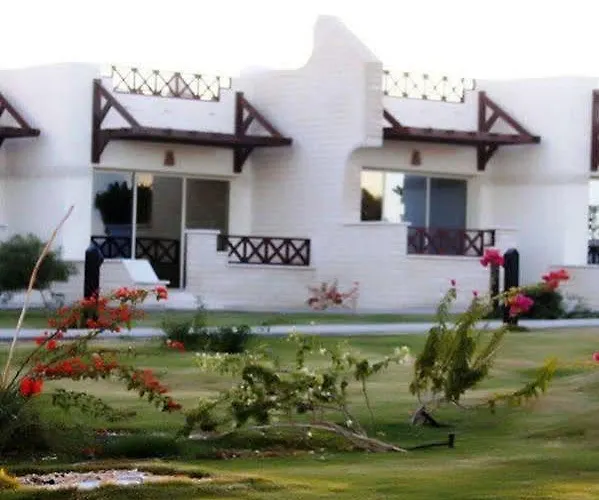 Отель Sunrise Juman Beach Resort 4*